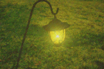 Lantern of Hope