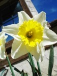 spring is here