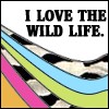i love the wild life.