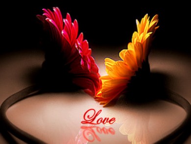 Click to view original image