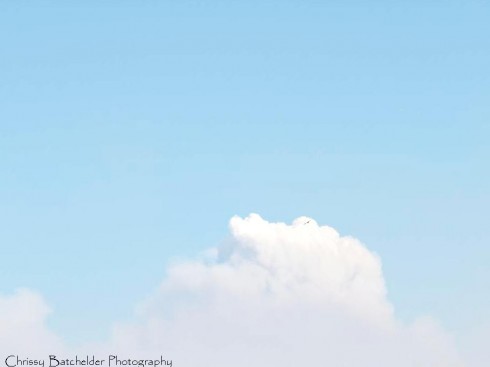 Click to view original image