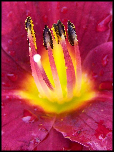 Click to view original image