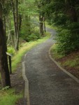 Winding Path