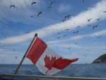 Canadian Flag