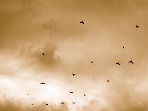 Click to view original image