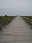 Boardwalk