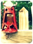 Owl.