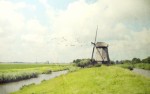 Windmill Dream