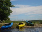Kayaks