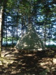 Tipi
