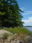 Island