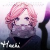 Hachi