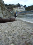 pebble