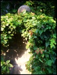 Like vines, We Intertwine