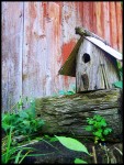 Birdhouse