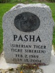 RIP Pasha