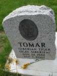 RIP Tomar
