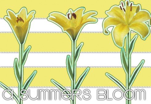 Click to view original image
