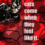 About cats...