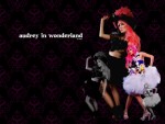 Audrey Kitching Wallpaper