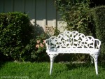 White Bench