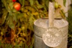 Watering Can