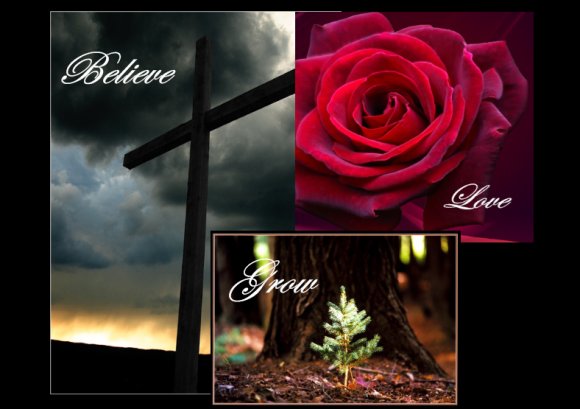 Click to view original image