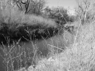 Lake on a creek