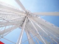 Ferris Wheel at Navy Peir