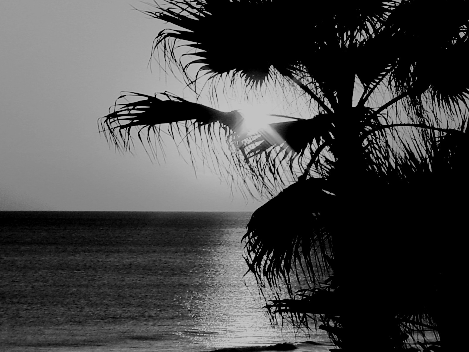 Black & White Beach Sunset - Stock Photos - CreateBlog