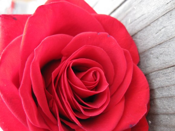 Click to view original image