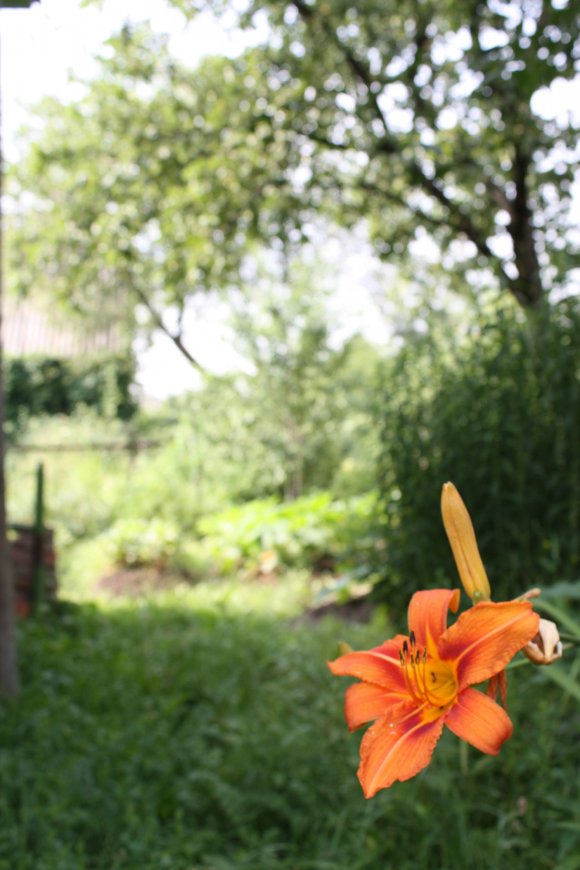 Click to view original image