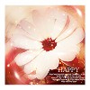 happy ;;