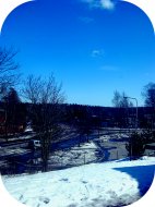 Spring has came