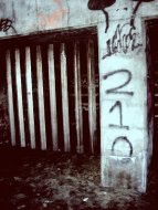untitled dos