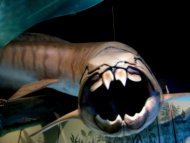 Prehistoric Fishie 