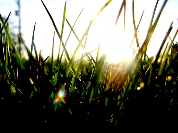 Click to view original image