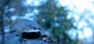 Bridge Railing