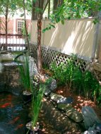 pond 2