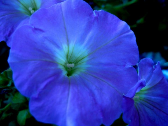 Click to view original image