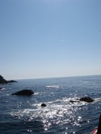 Mediterranean at Costa Brava