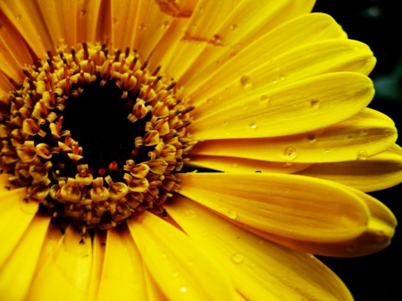 Click to view original image