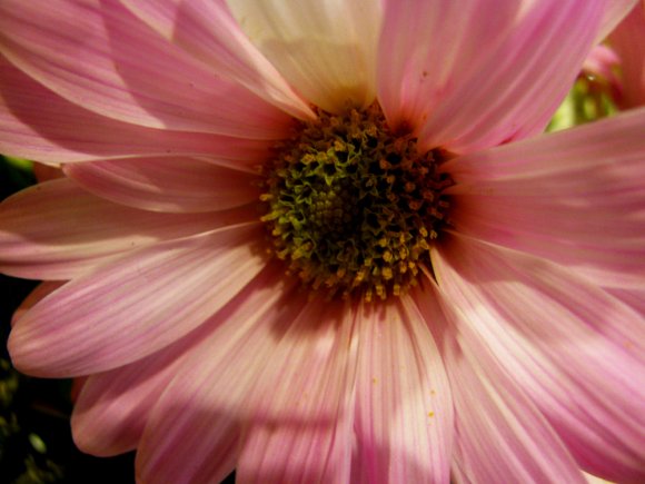 Click to view original image
