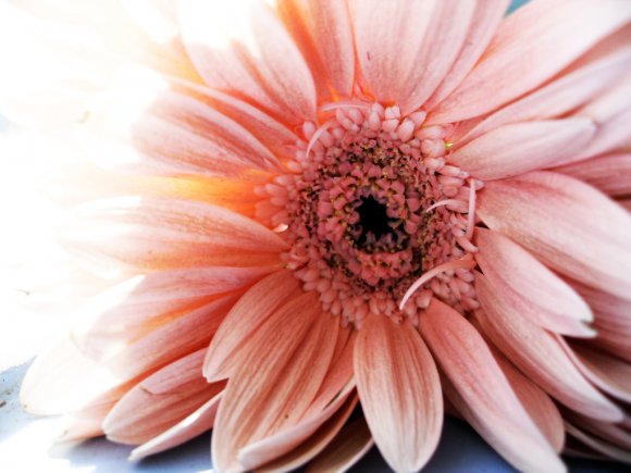 Click to view original image