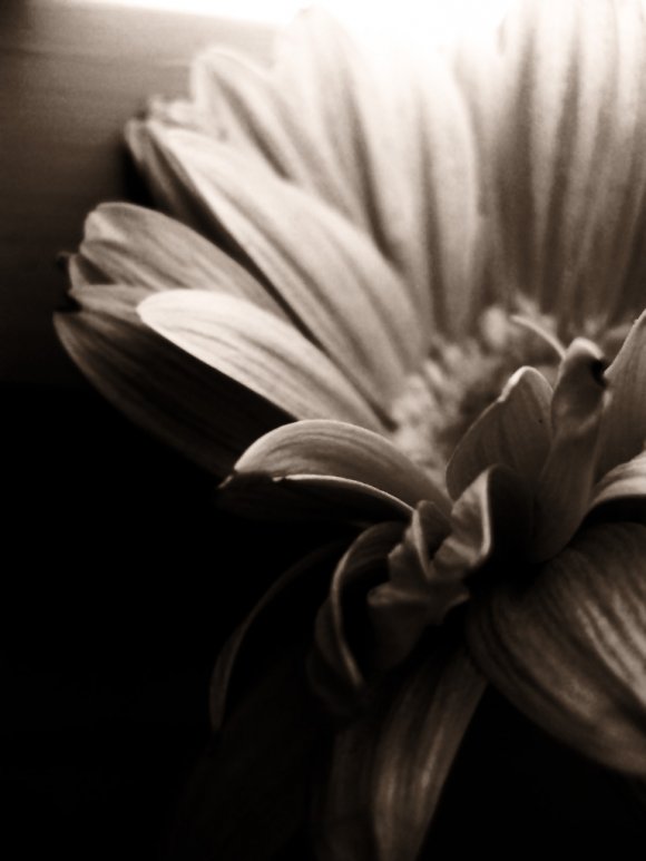 Click to view original image