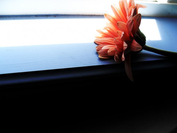 Click to view original image