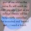 PostSecret [swine flu]