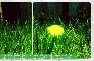 Gone For Good||The Shins