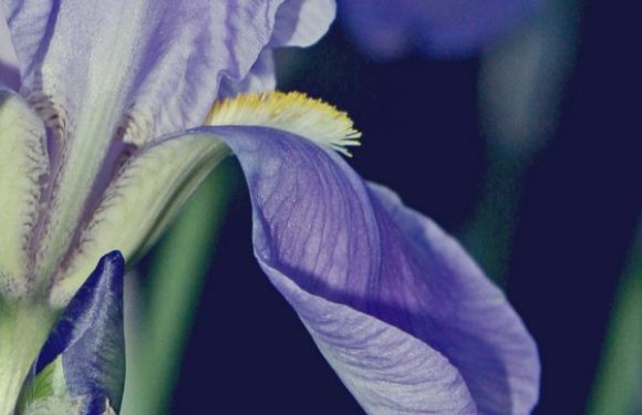 Click to view original image