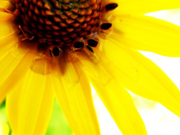 Click to view original image